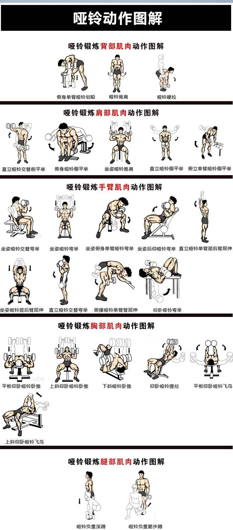 啞鈴動作圖解